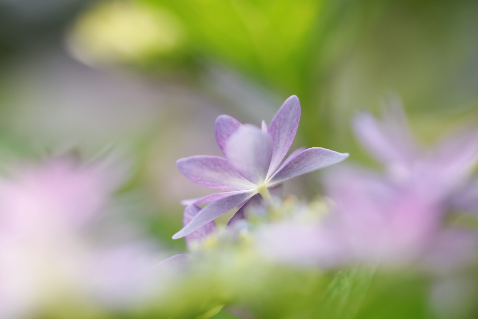 �u���֘A�摜�F���S�҂̃f�W�^����჌�t