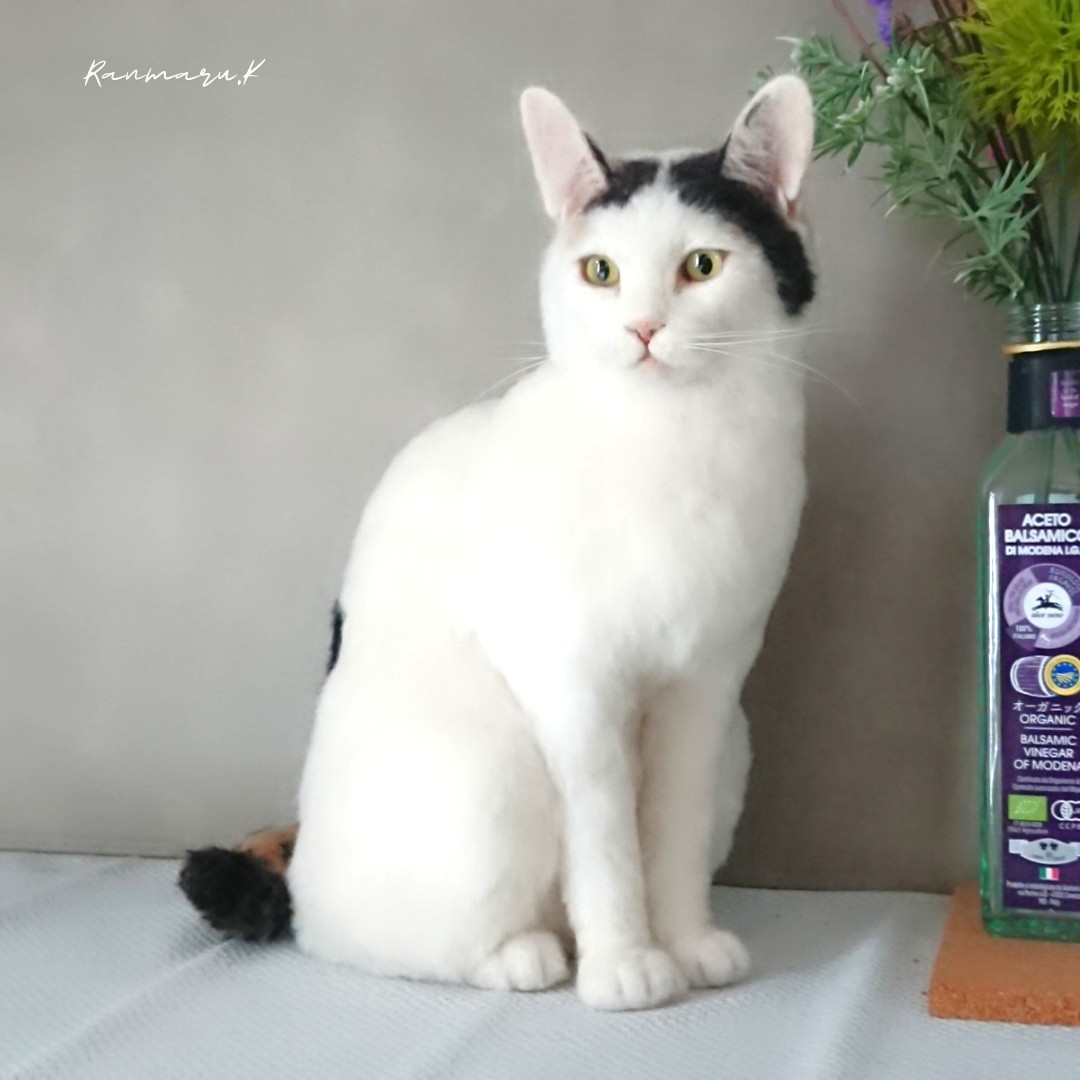 �u���֘A�摜�F�r�уt�F���g�ŔL����낤