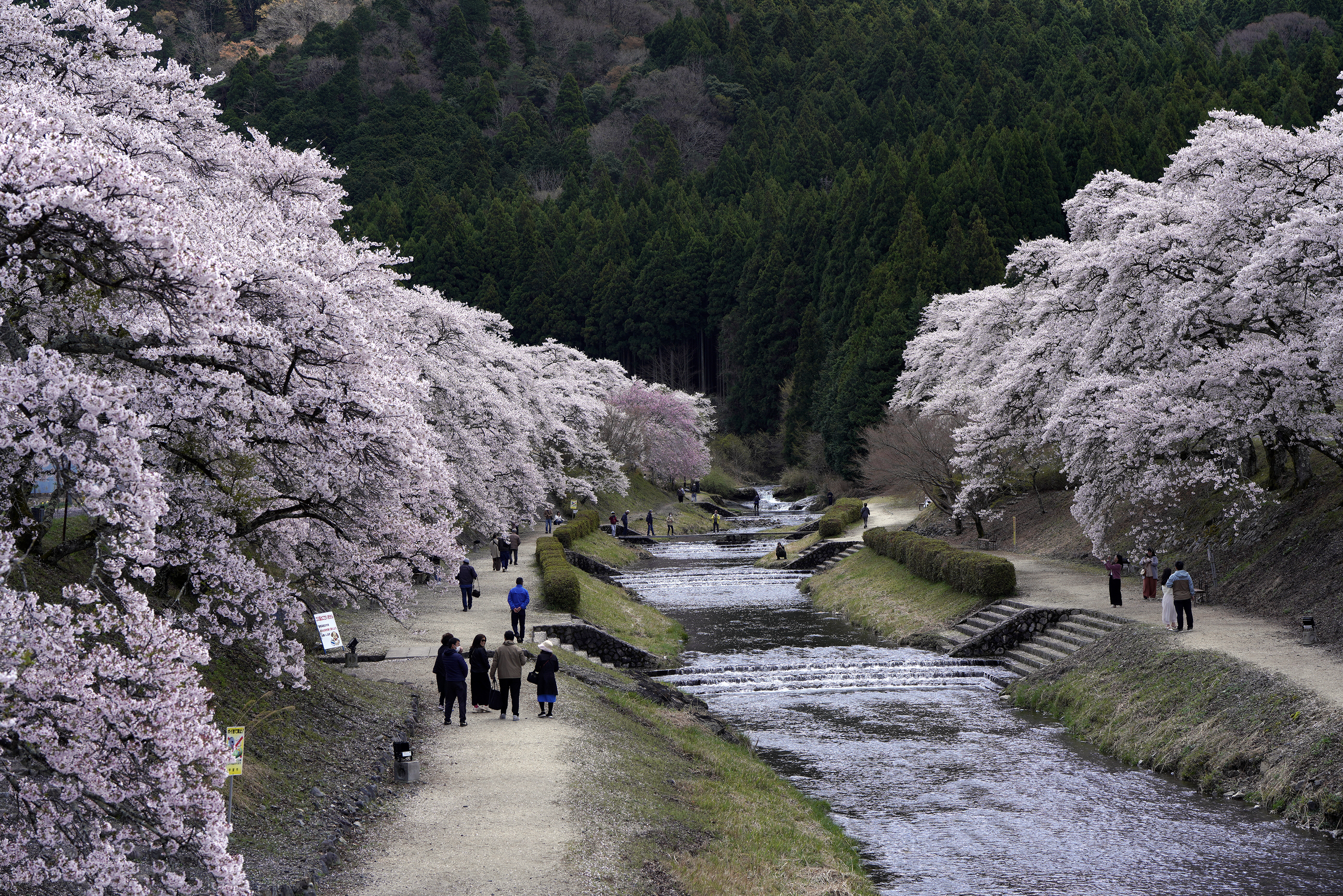 �u���֘A�摜�F�f�W�t�H�g���y������