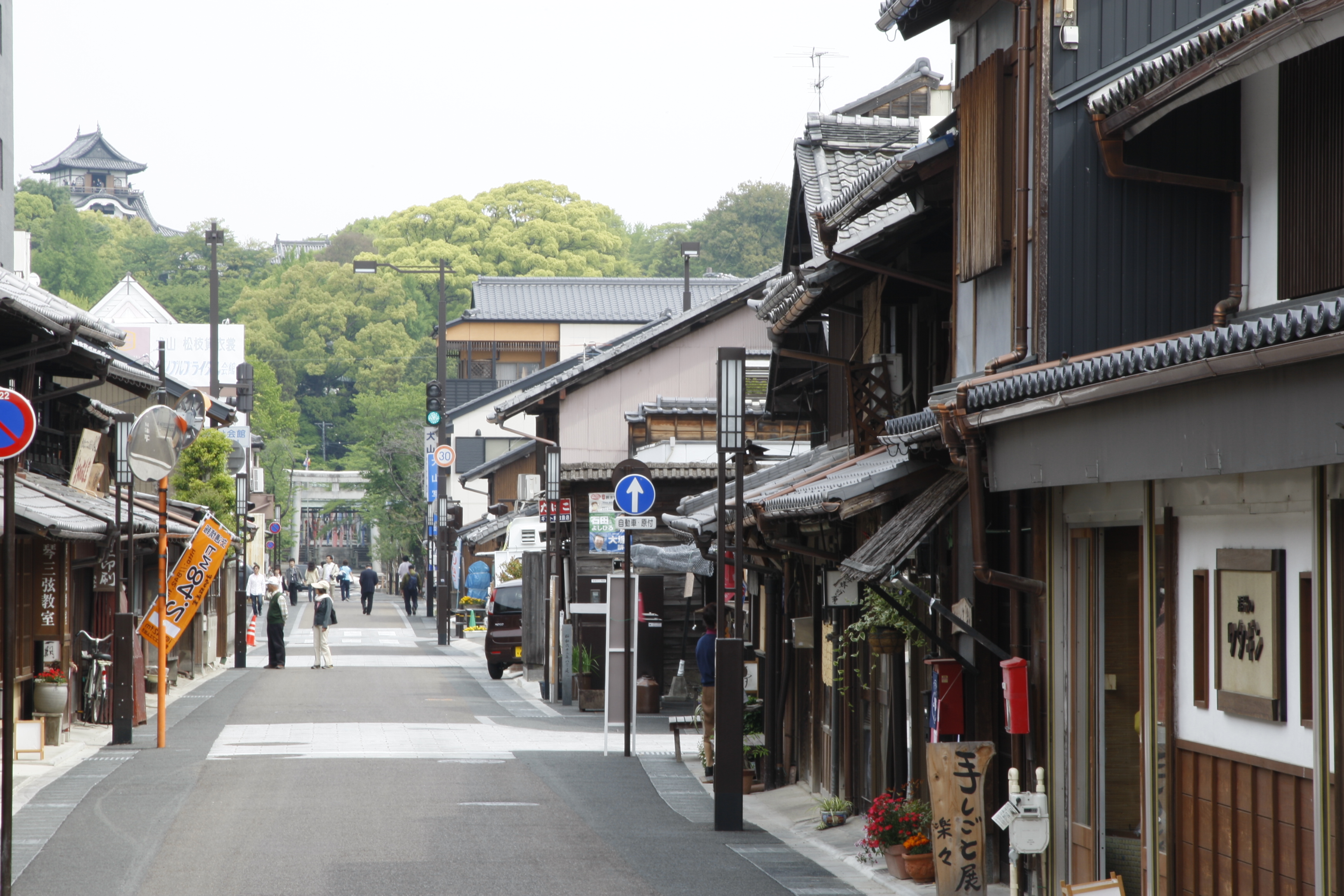 �u���֘A�摜�F�y6/4�z���󌢎R��ɉB���ꂽ����ȕ���