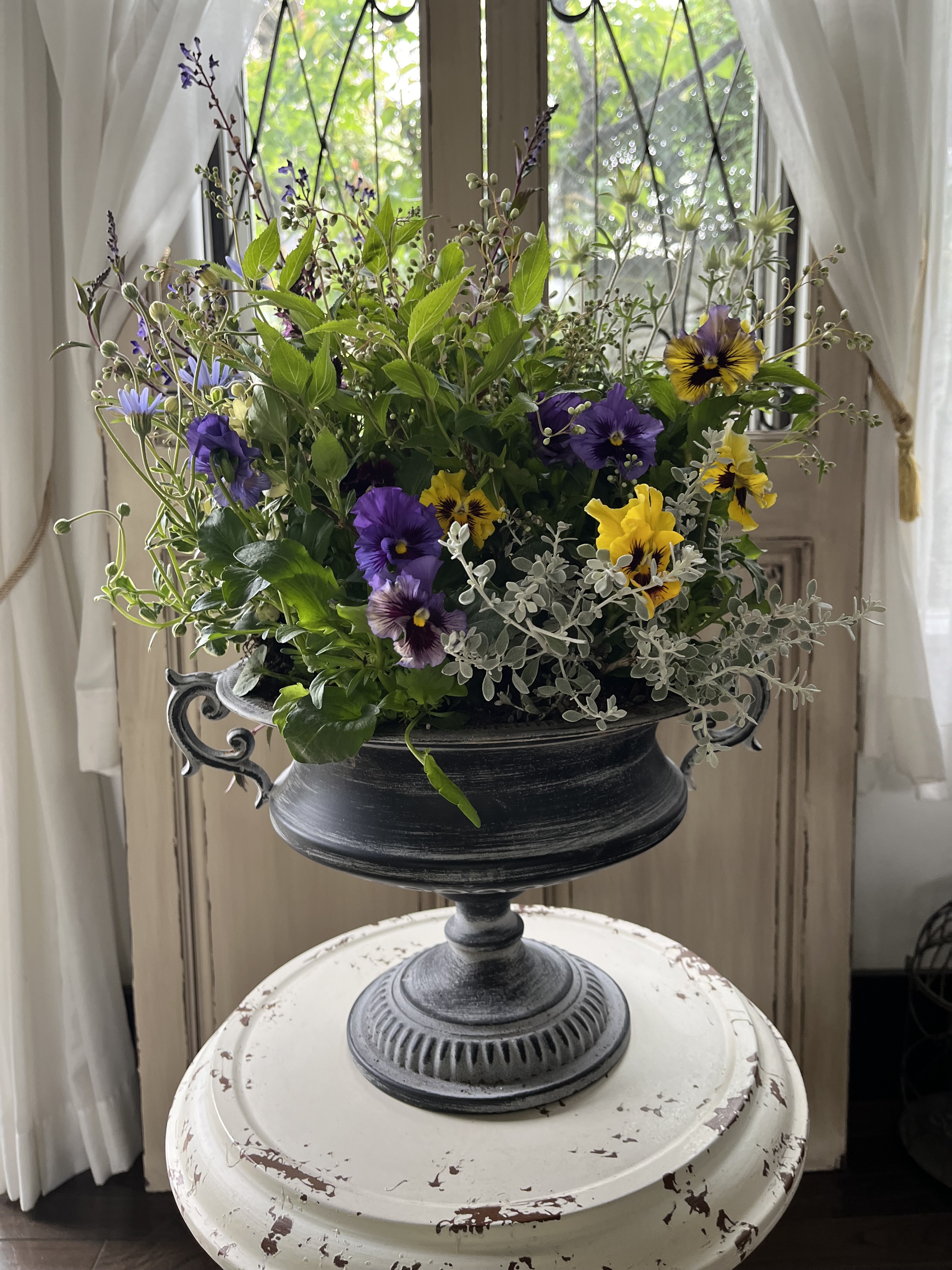 �u���֘A�摜�F�p������A�����b�X��