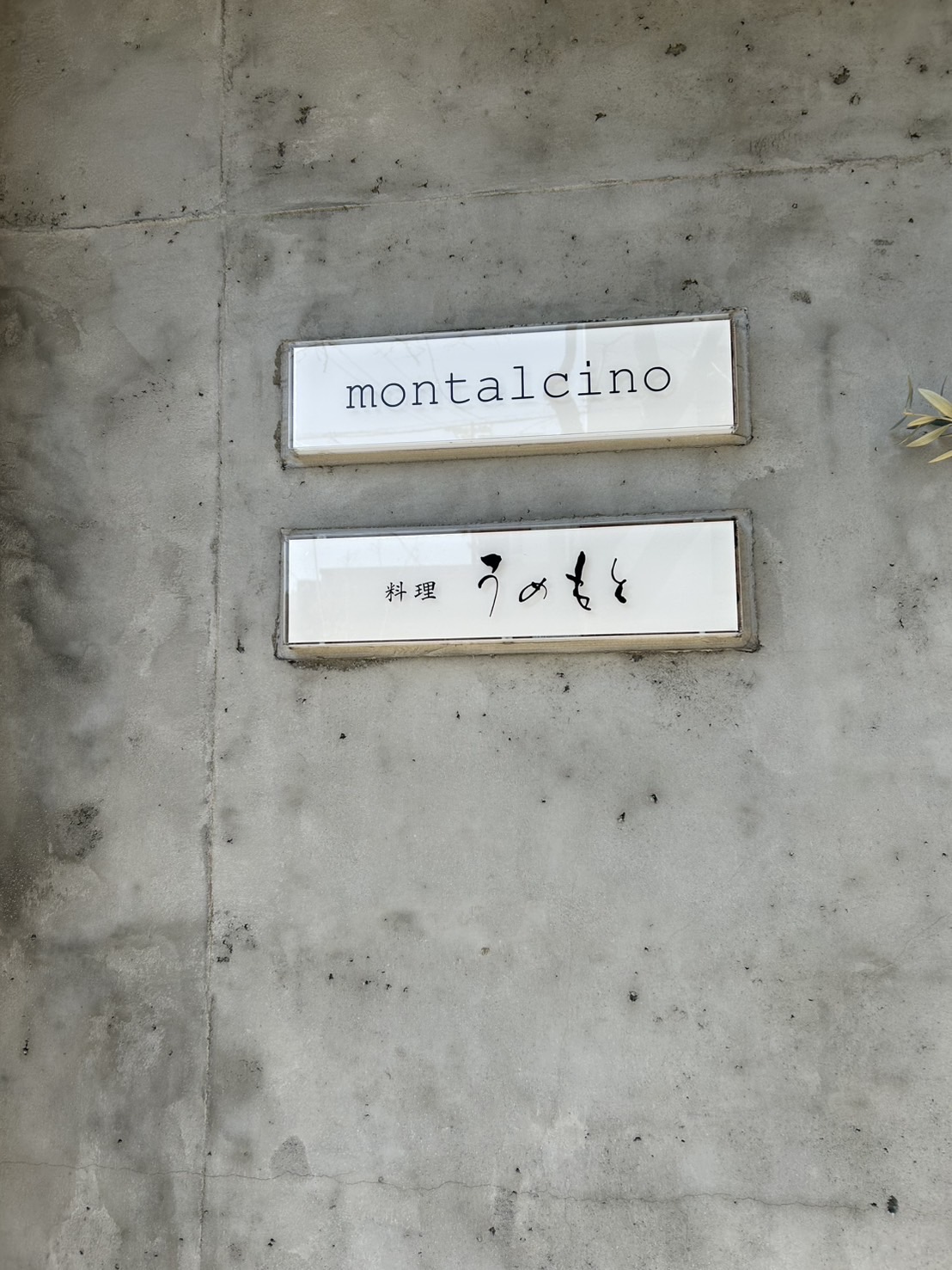 �u���֘A�摜�F6/20�H�����y���݁A�}�i�[���w�ԂЂƂƂ�