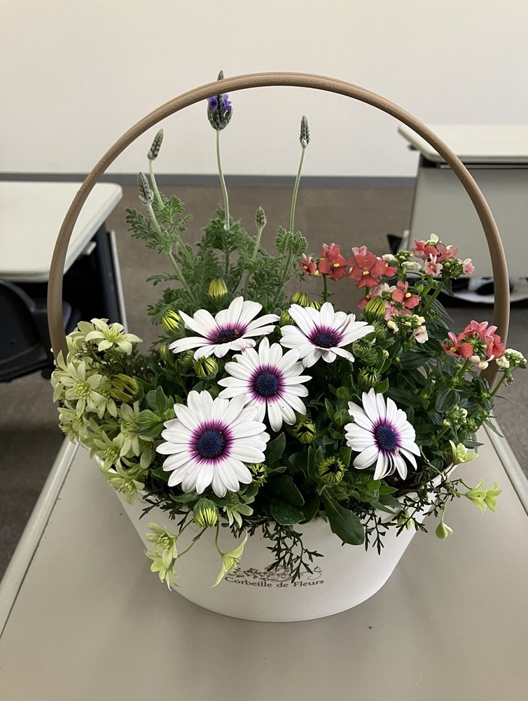 �u���֘A�摜�F4/2�L���Ԃ��s��