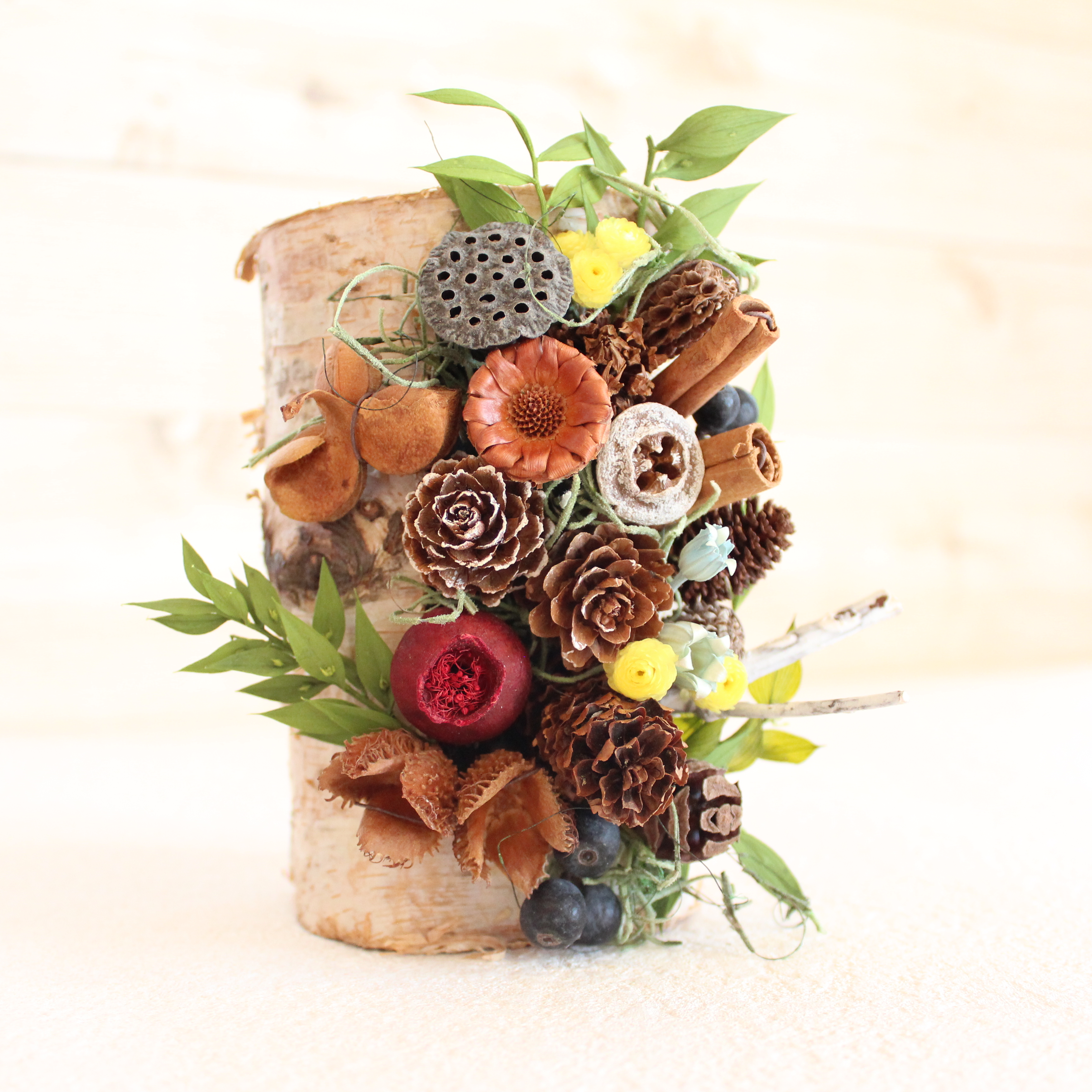 �u���֘A�摜�F5/8�����̐X�̂��������