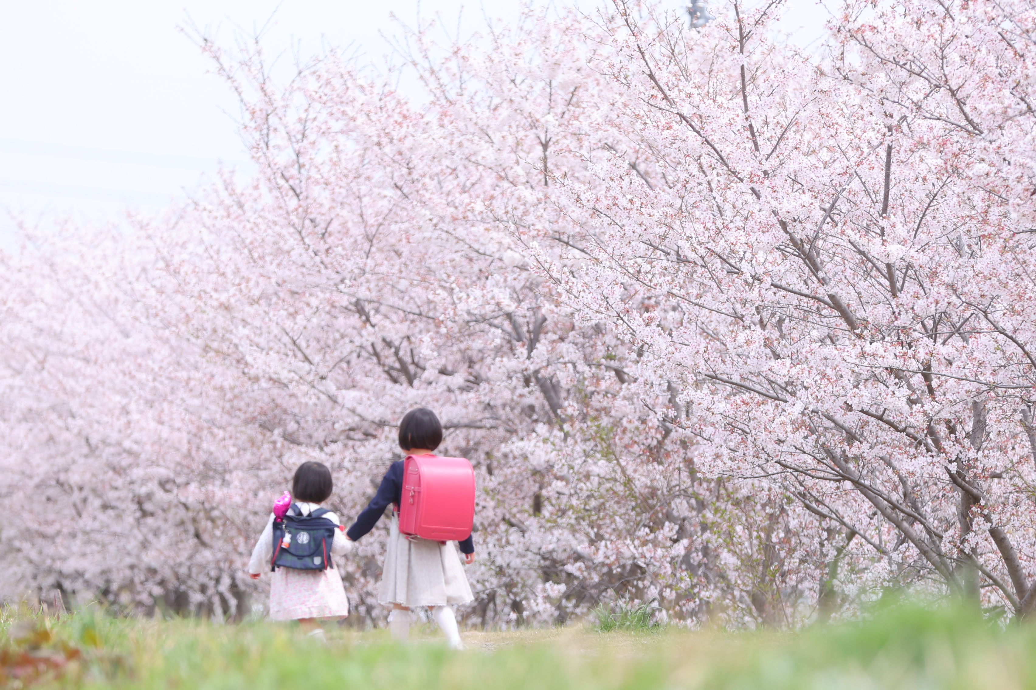 �u���֘A�摜�F�����̂��߂̃J��������