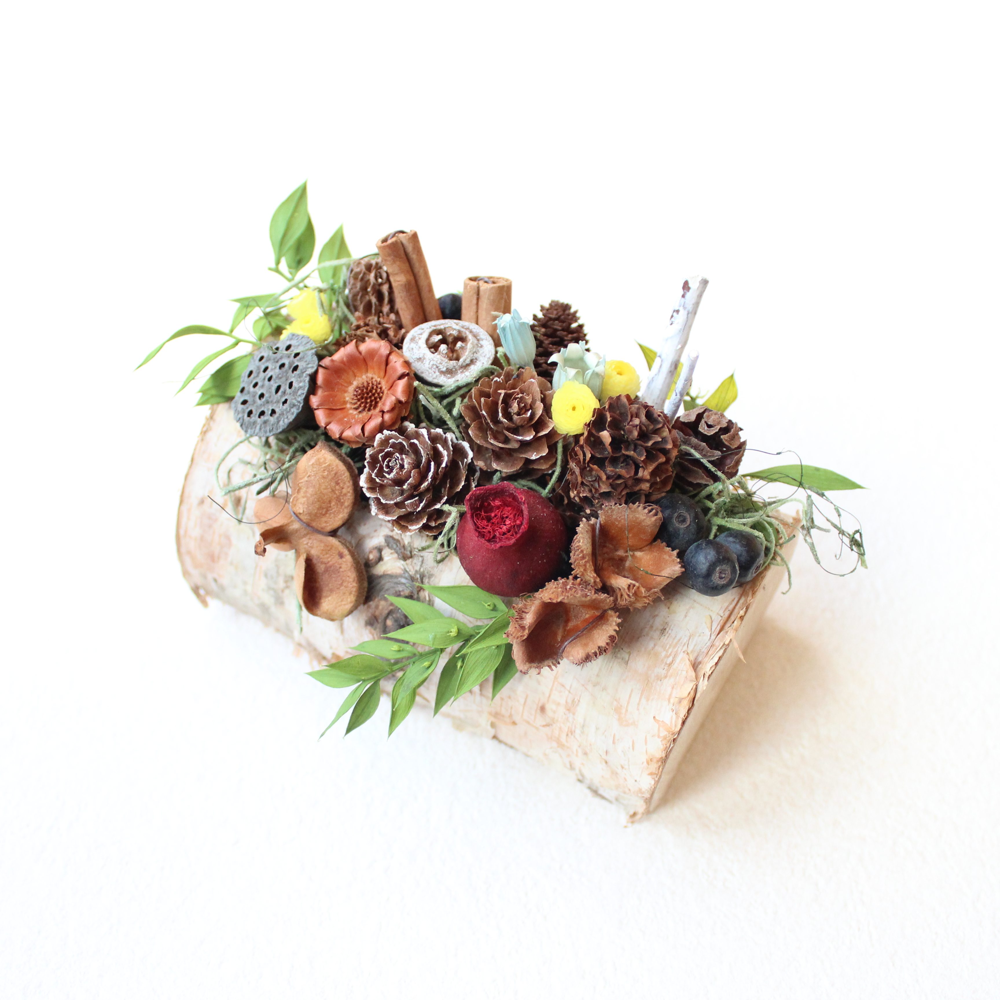 �u���֘A�摜�F5/8�����̐X�̂��������