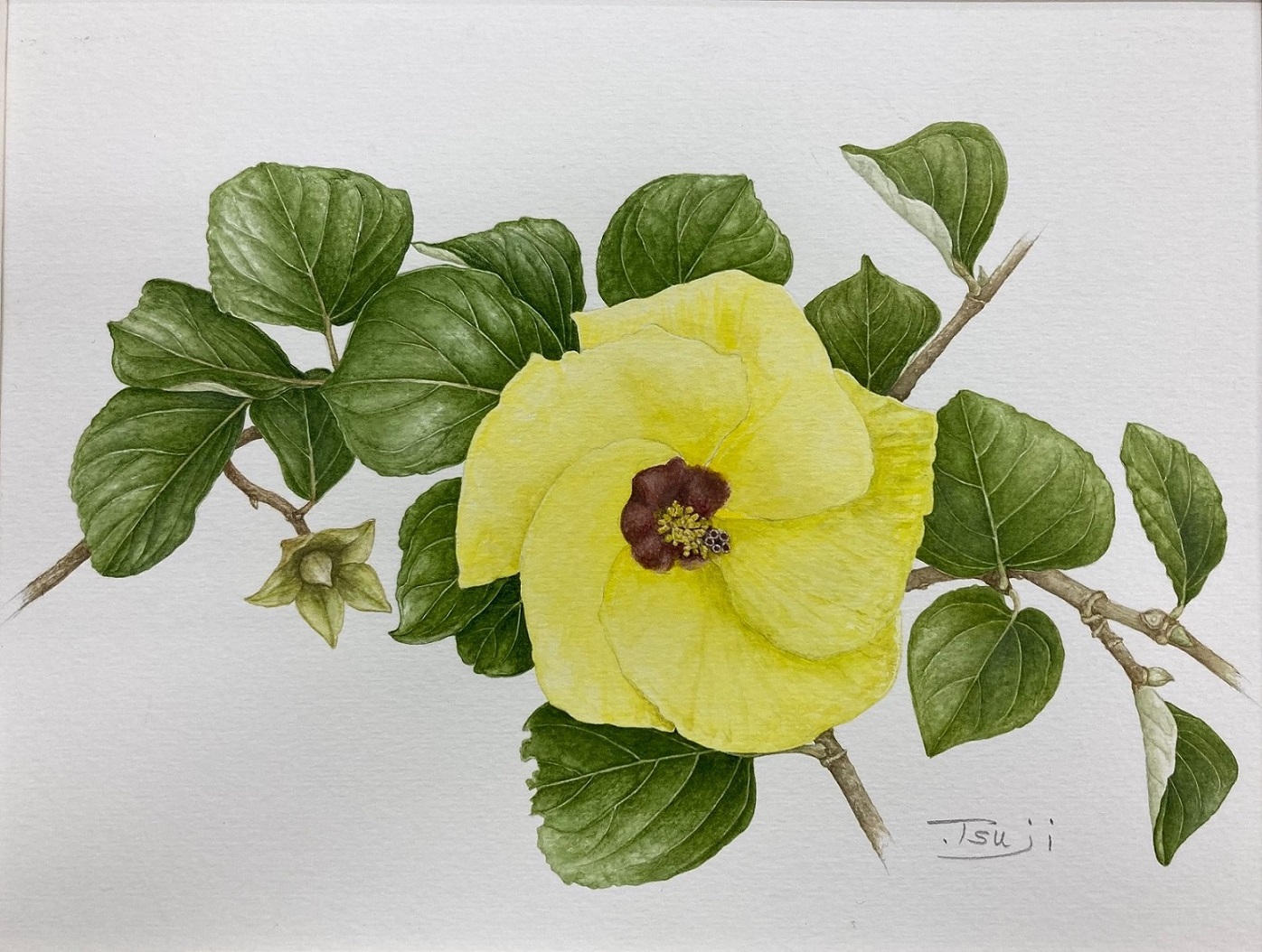 講座詳細 講座詳細