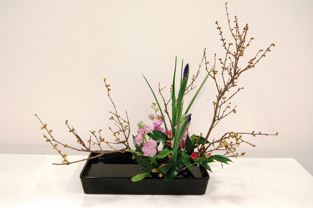 �u���֘A�摜�F����䗬