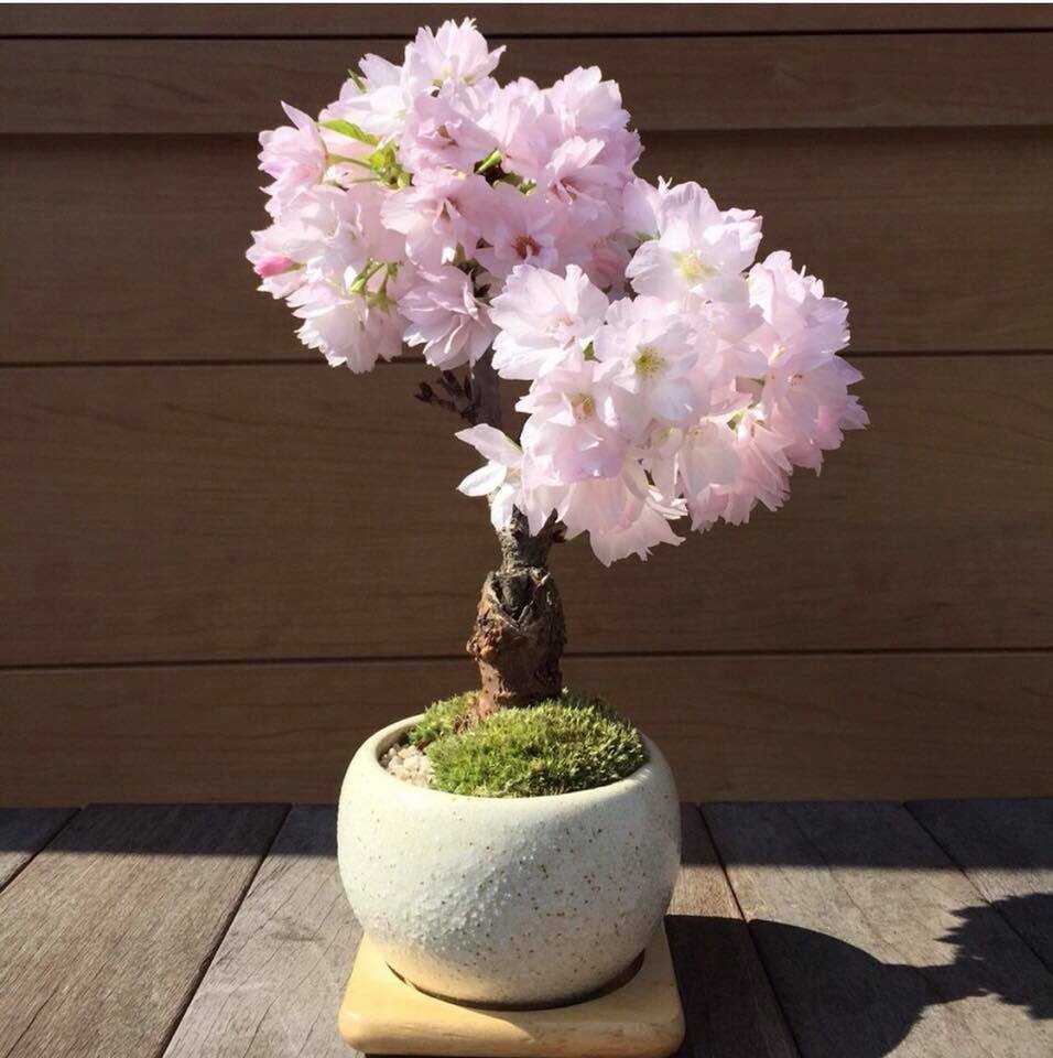 講座詳細 講座詳細