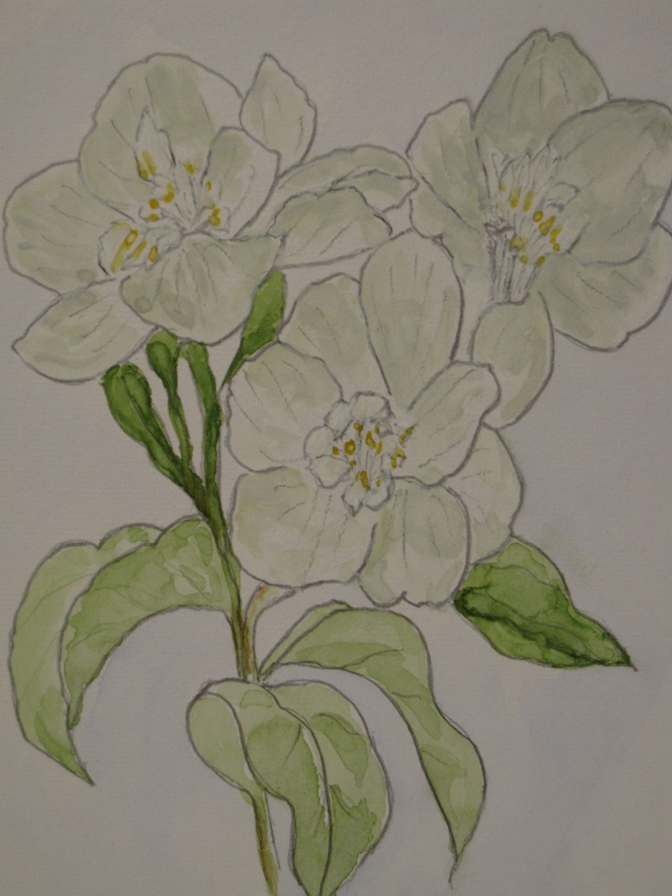 講座関連画像：気楽な絵画教室