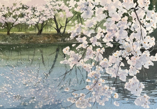 u֘A摜Fʂŕ`i