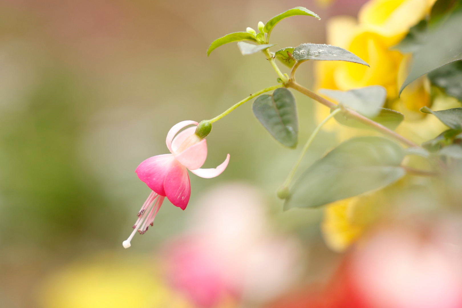 u֘A摜FJUy