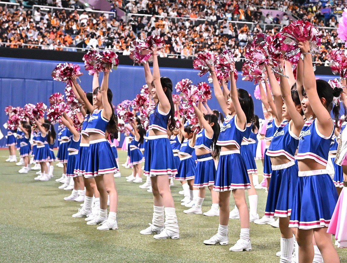 u֘A摜F`AhSY_XbX/yj`