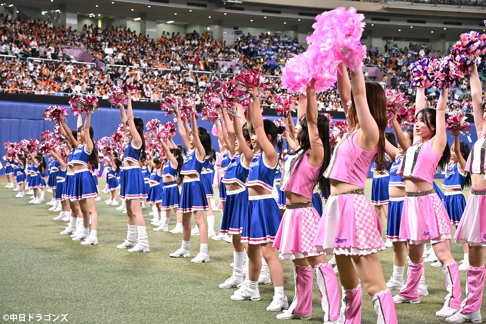 u֘A摜F`AhSY_XbX/jB